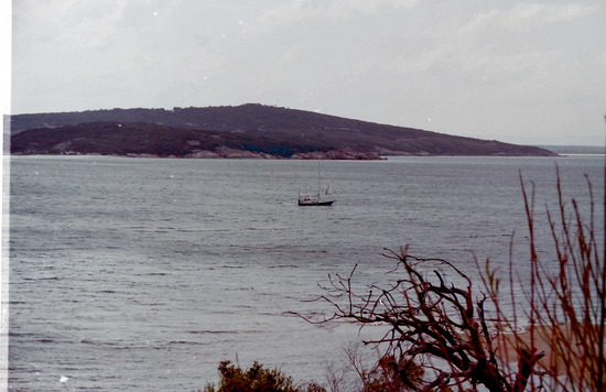 Oyster Bay