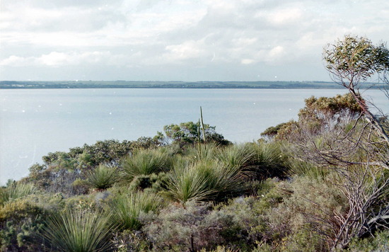 Near Esperance