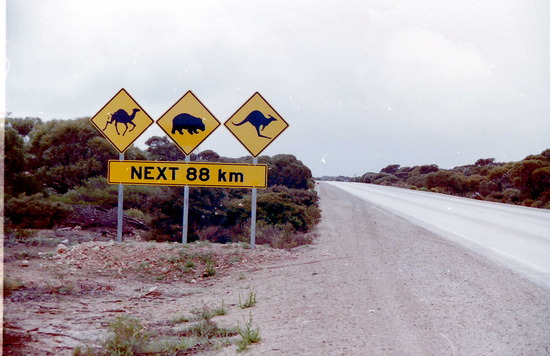 The famous sign