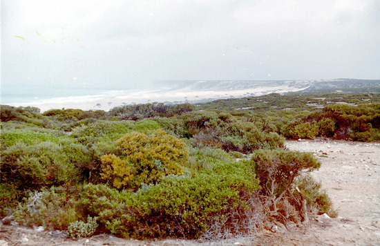 The Great Australian Bight