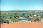 Mt Connor