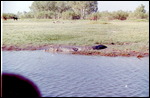 Yellow Waters cruise
