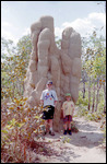 Magnetic Termite Mounds