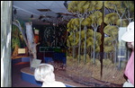 Wetlands Information Centre