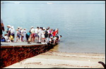 Fish feeding at Doctor's Gully