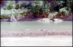 Windjana Gorge