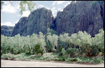 Windjana Gorge