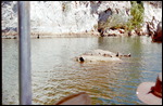 Windjana Gorge