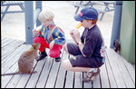 Patting the Quokkas