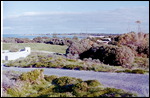 Rottnest Island
