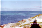 Rottnest Island