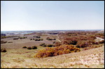 Rottnest Island