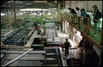Bunning's Mill