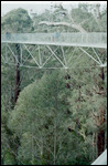 Valley of the Giants