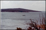 Oyster Bay