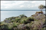 Near Esperance