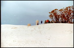 Eucla Telegraph Station remains