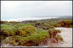 The Great Australian Bight