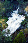 McKenzie's Falls