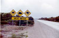 Travel blog thumbnail